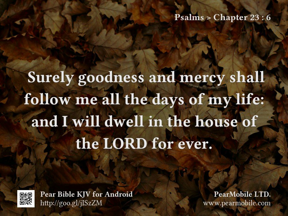 Psalms, Chapter 23:6